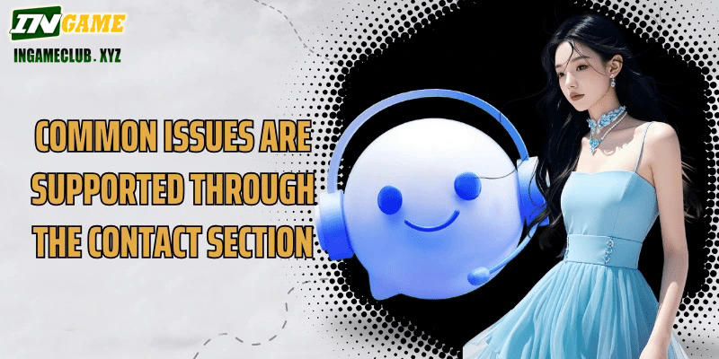 Common issues are supported through the contact section.